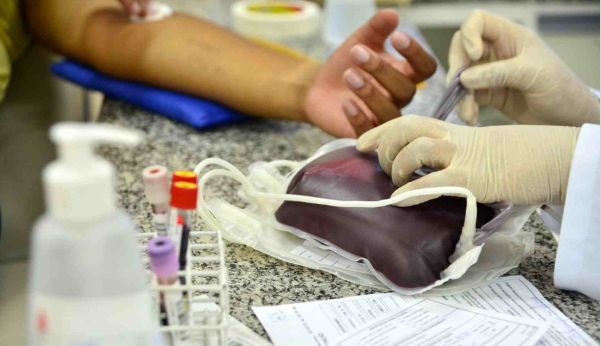 Cruzeiro DF celebra 65 anos com gesto solidário: servidores se unem para doar sangue