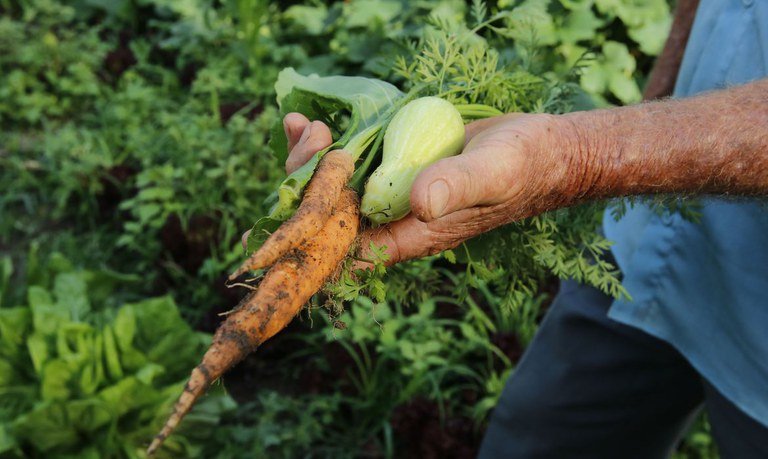 Sancionada lei que fortalece financiamento para agricultura familiar Sancionada lei que fortalece financiamento para agricultura familiar