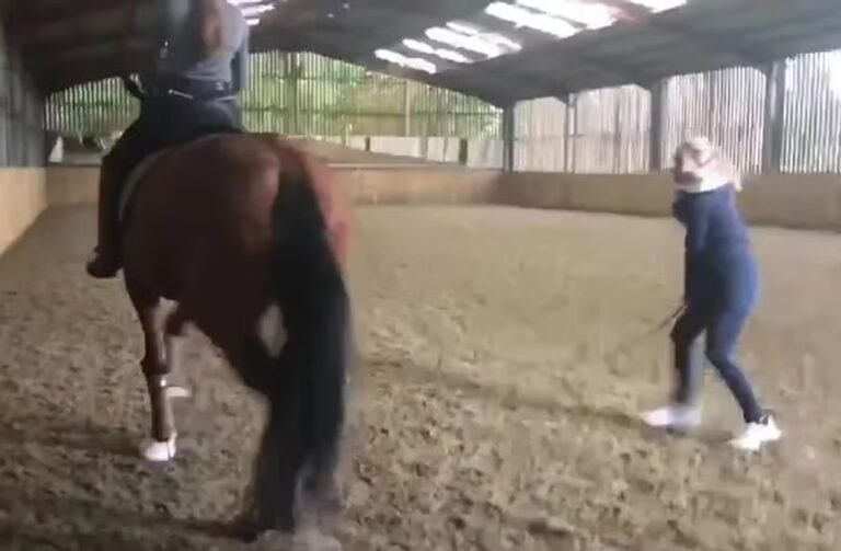 Bicampeã olímpica flagrada chicoteando cavalo sofre punição Bicampeã olímpica flagrada chicoteando cavalo sofre punição
