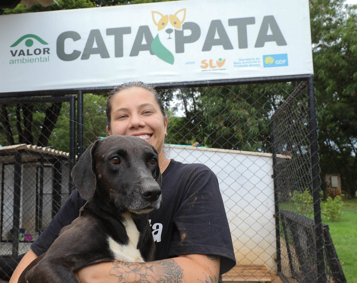 Das ruas para um novo lar: em um ano, projeto Cata Pata resgata 65 cachorros