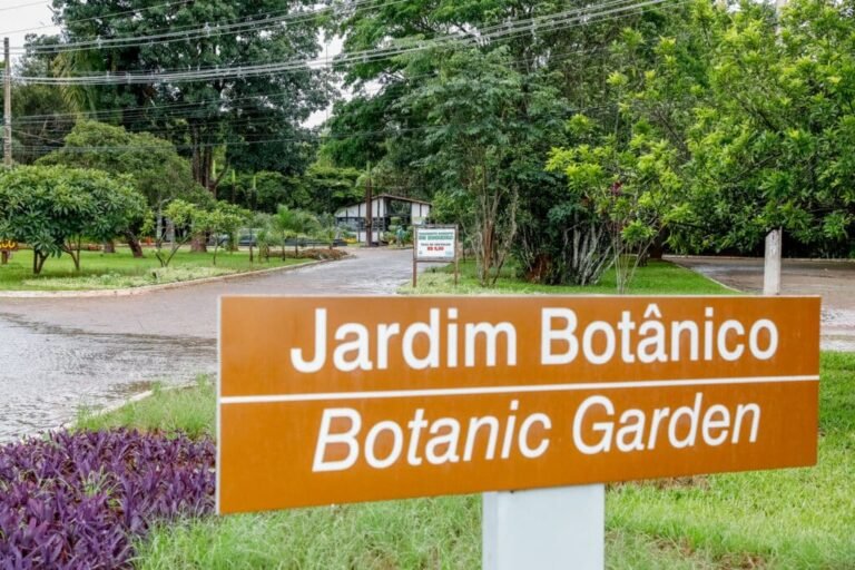 Jardim Botânico de Brasília aprimora ações de conservação da flora do Cerrado Jardim Botânico de Brasília aprimora ações de conservação da flora do Cerrado