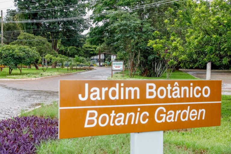 Jardim Botânico de Brasília aprimora ações de conservação da flora do Cerrado Jardim Botânico de Brasília aprimora ações de conservação da flora do Cerrado