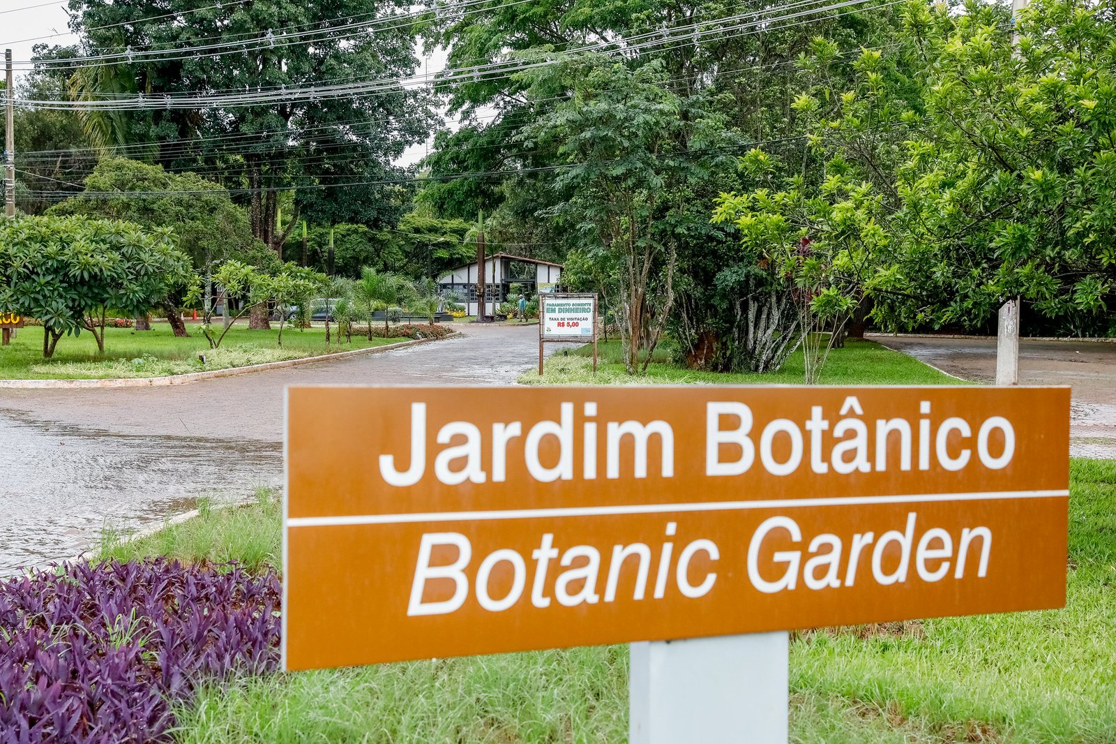 Jardim Botânico de Brasília aprimora ações de conservação da flora do Cerrado