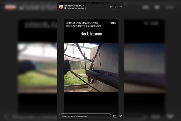 Marina Silva compartilha vídeo de centro com macaca apreendida no DF