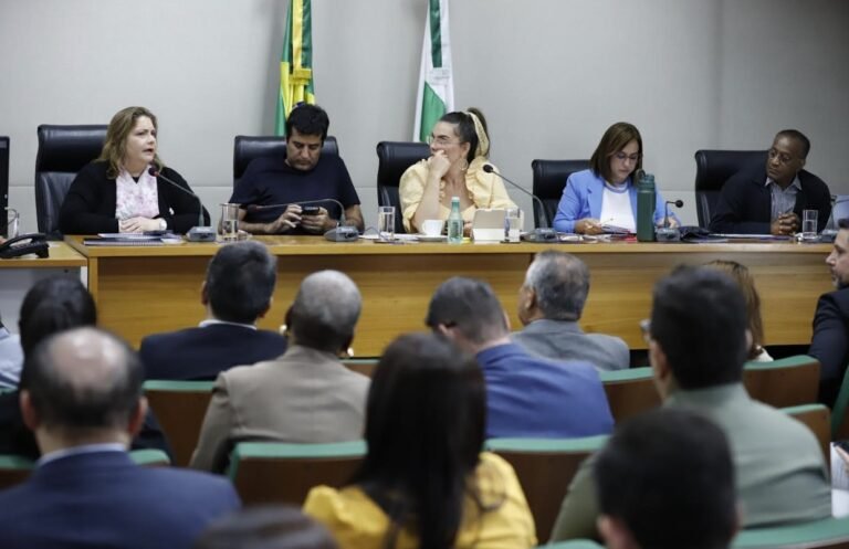 SES-DF apresenta segundo relatório de atividades quadrimestrais de 2024 na Câmara Legislativa SES-DF apresenta segundo relatório de atividades quadrimestrais de 2024 na Câmara Legislativa