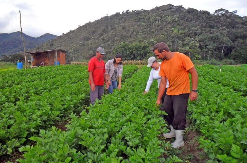 Seguridade especial para cooperados do campo é sancionada — Senado Notícias