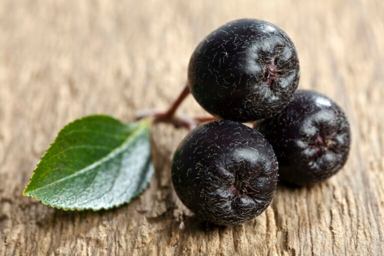 Ouro negro: saiba como consumir a fruta que regula o açúcar no sangue