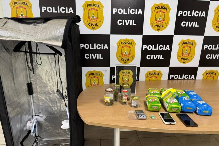 Fotos: casal do tráfico camuflava maconha em embalagens de erva-mate