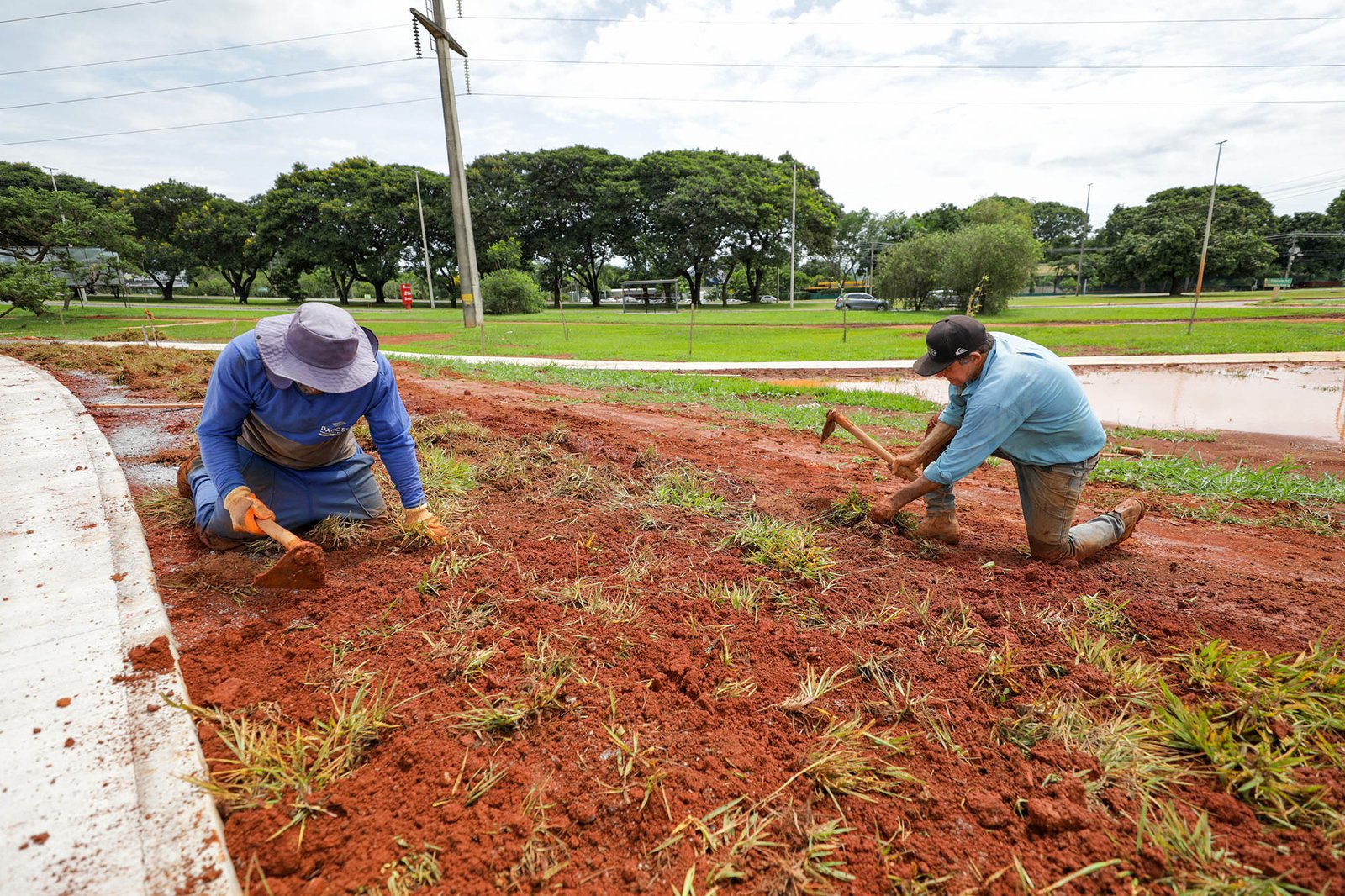 Plantio de grama no Parque Internacional da Paz marca início do paisagismo do Drenar DF