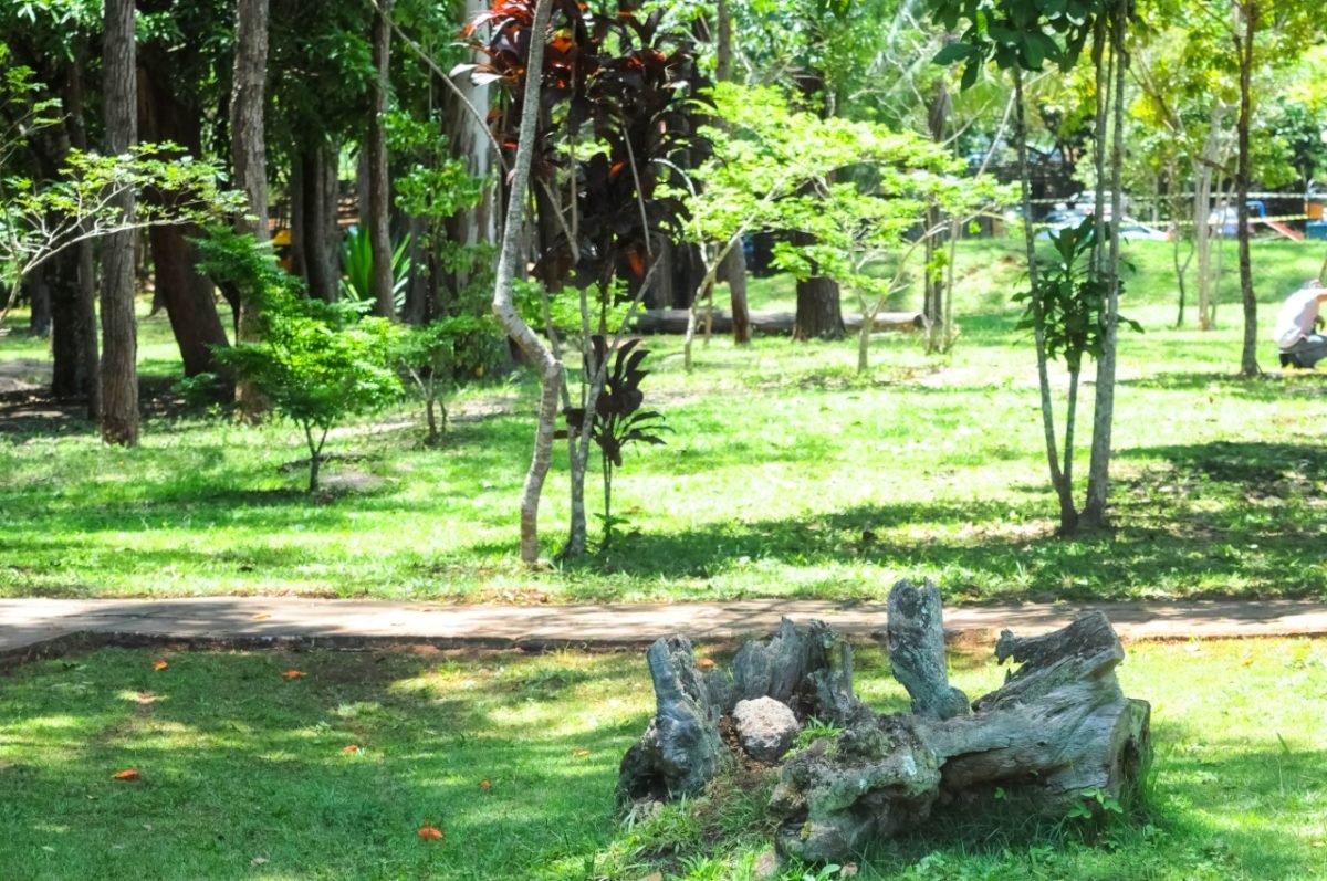 Unidades de conservação ambiental são objeto de pesquisa da UnB