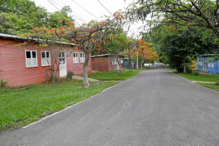 Com 25 mil visitantes em 2024, Museu Vivo da Memória Candanga fortalece vínculos com as raízes da capital Com 25 mil visitantes em 2024, Museu Vivo da Memória Candanga fortalece vínculos com as raízes da capital
