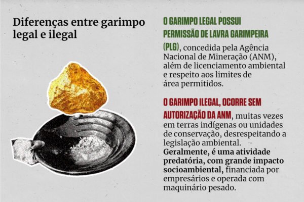 Amazônia sitiada: a batalha da PF contra o crime organizado