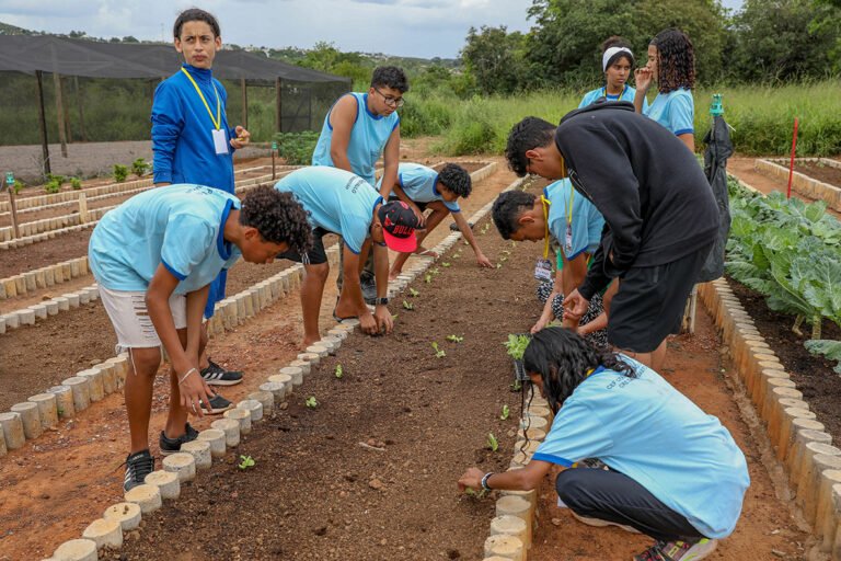 Estudantes de São Sebastião visitam horta comunitária do Alto Mangueiral Estudantes de São Sebastião visitam horta comunitária do Alto Mangueiral