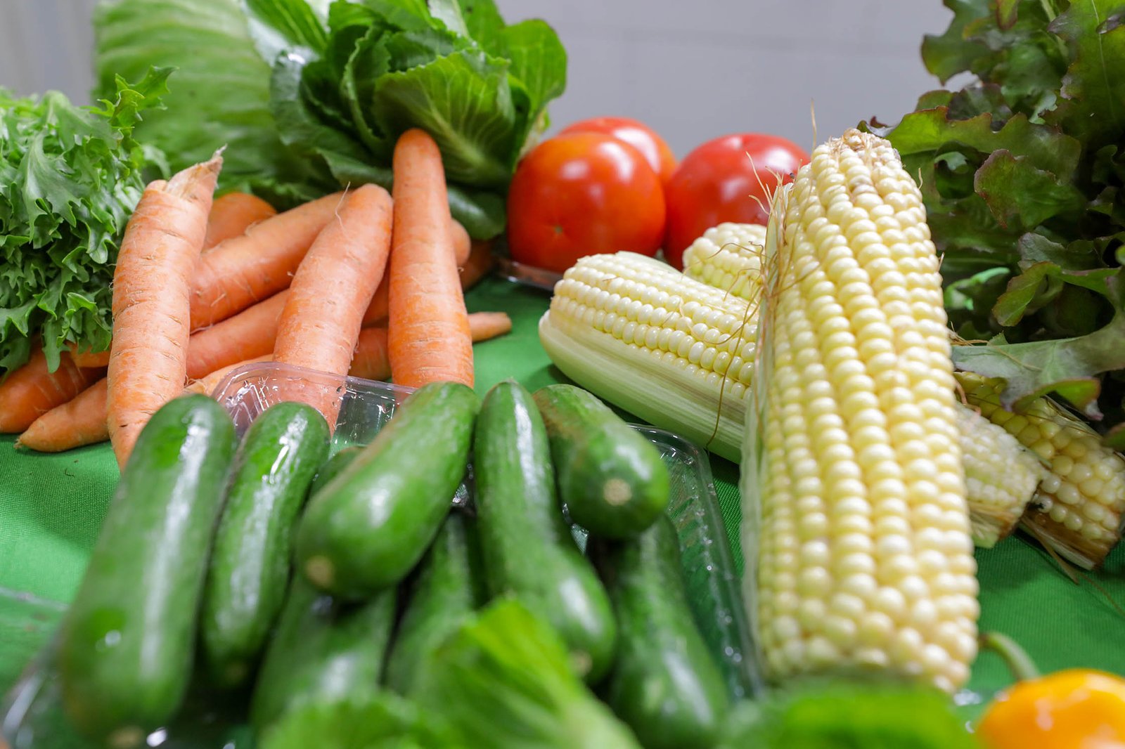 Produtores rurais vão representar DF em feira internacional do setor de frutas e hortaliças