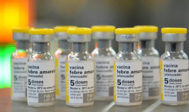 Saúde alerta para aumento de casos de febre amarela em SP e mais três estados Saúde alerta para aumento de casos de febre amarela em SP e mais três estados