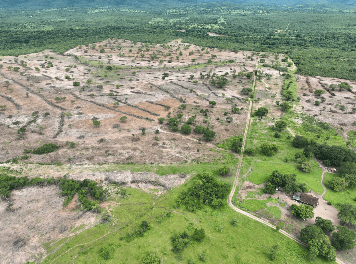 Semad flagra desmatamento ilegal de 132 hectares em Teresina de Goiás