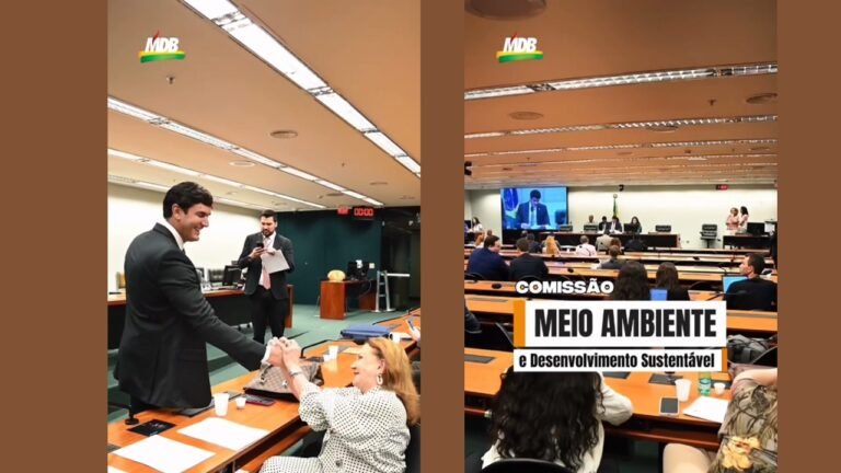 Rafael Prudente Encerra Mandato na Comissão de Meio Ambiente com Balanço Positivo