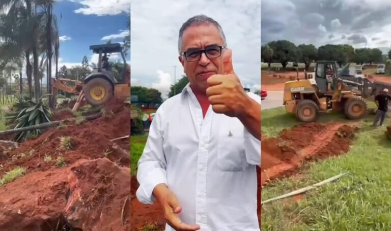 Cidade Estrutural ganha revitalização com novo paisagismo na entrada da cidade Cidade Estrutural ganha revitalização com novo paisagismo na entrada da cidade