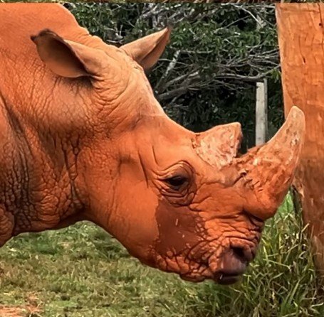 78 PROJETO VIVER 60+ PROPORCIONA UM DIA ESPECIAL A IDOSOS E FAMÍLIAS NO ZOOLÓGICO DE BRASÍLIA