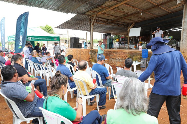 Oficinas preparam produtores do DF para a 10ª edição da Feira da Goiaba Oficinas preparam produtores do DF para a 10ª edição da Feira da Goiaba
