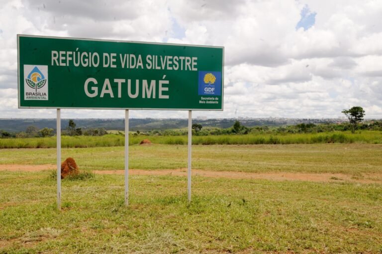 Parque Gatumé, em Samambaia, será cercado para preservação ambiental e combate ao descarte irregular de lixo Parque Gatumé, em Samambaia, será cercado para preservação ambiental e combate ao descarte irregular de lixo