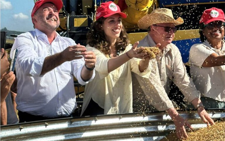 Resiliência e cooperação marcam safra do arroz agroecológico após enchentes no Rio Grande do Sul Resiliência e cooperação marcam safra do arroz agroecológico após enchentes no Rio Grande do Sul