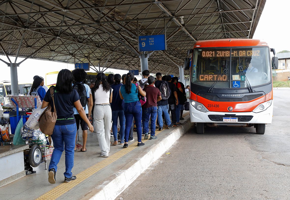 Zebrinhas, antes restritos ao Plano Piloto, agora circulam por diferentes regiões do DF