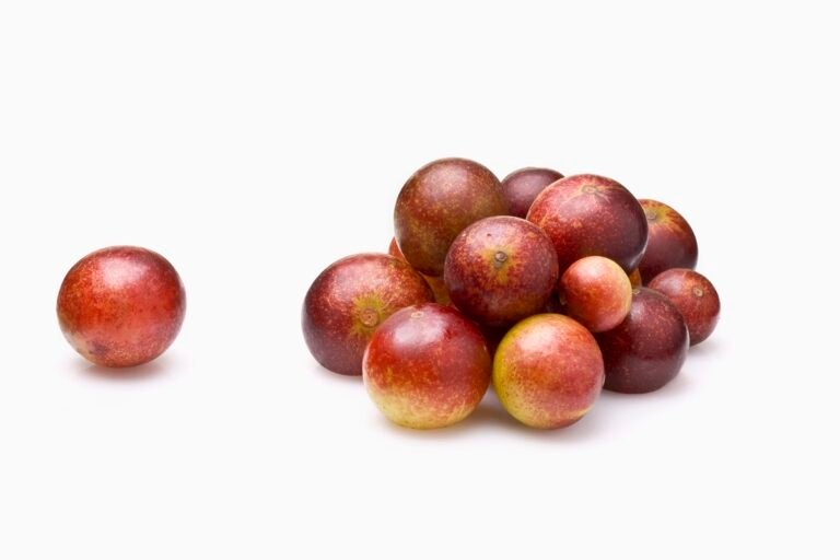 Confira 5 frutas ricas em vitamina C e seus benefícios para a saúde Confira 5 frutas ricas em vitamina C e seus benefícios para a saúde