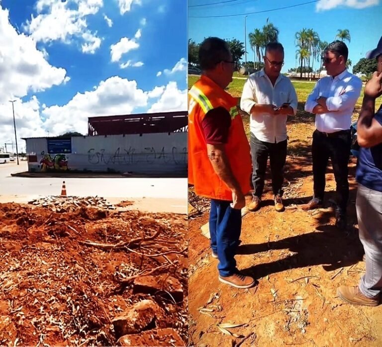 Obras na Entrada da Cidade Estrutural Avançam com Foco em Segurança e Mobilidade