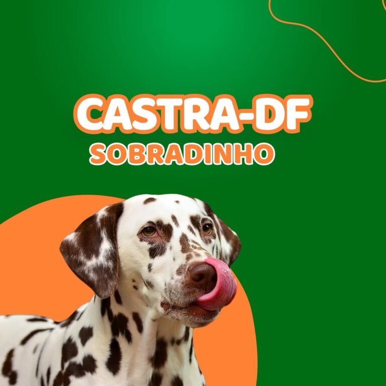 Deputado Ricardo Vale anuncia Castra DF em Sobradinho com mil vagas gratuitas para cães e gatos