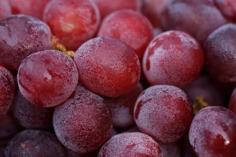 Chá antioxidante reduz inflamações e previne doenças cardiovasculares
