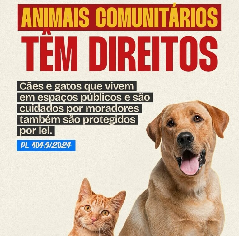 Deputado Ricardo Vale Defende Animais Comunitários: “Nosso Compromisso é Garantir Respeito e Dignidade” Deputado Ricardo Vale Defende Animais Comunitários: “Nosso Compromisso é Garantir Respeito e Dignidade”