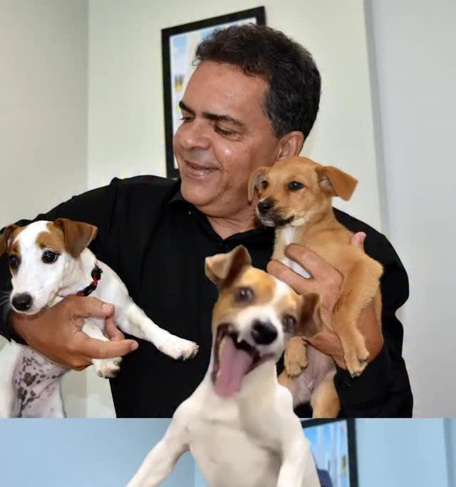 Ricardo Vale, Vice-Presidente da CLDF, Lidera Iniciativas para a Causa Animal no Distrito Federal