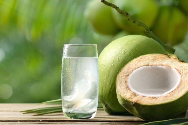 Transplante: técnica brasileira permite conservar rins em água de coco Transplante: técnica brasileira permite conservar rins em água de coco