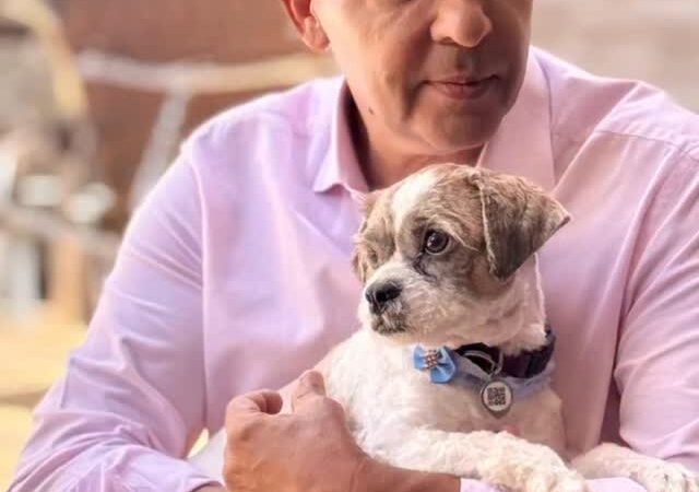 Audiência Pública na CLDF Debaterá Políticas para o Bem-Estar Animal