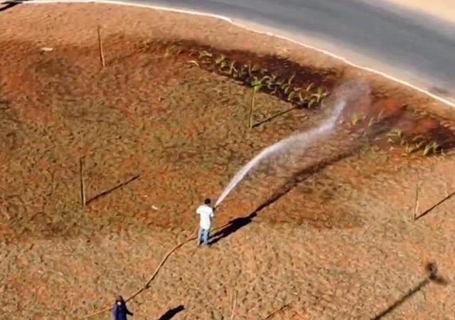 Administração da Estrutural Realiza Mutirão de Limpeza e Manutenção