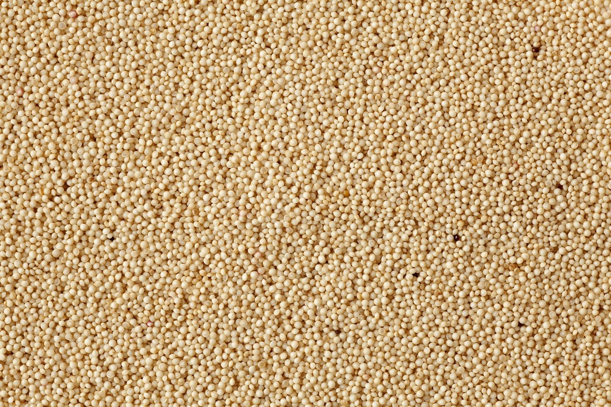 Conheça grão rico em proteína de qualidade e fácil de inserir na dieta