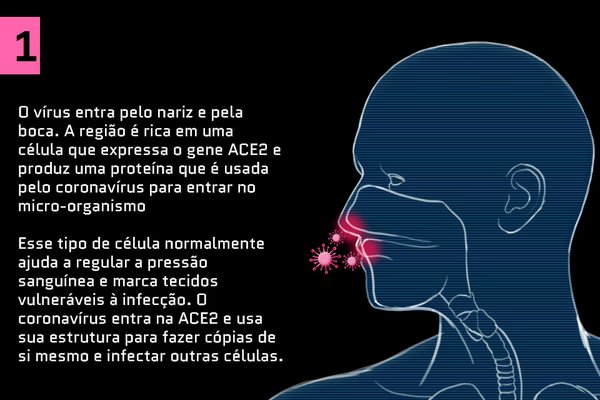 Covid: estudo revela caso de homem que ficou 776 dias com a doença