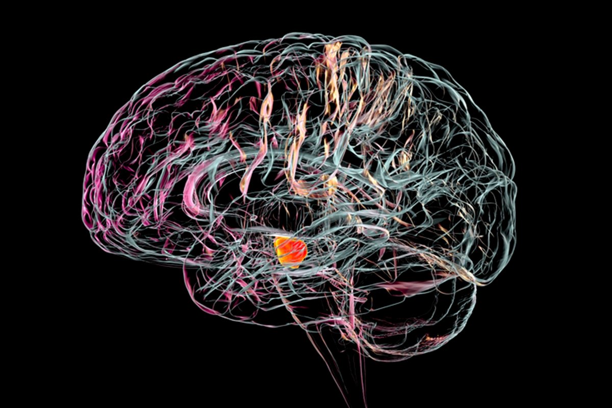 Síndrome das pernas inquietas pode aumentar o risco de Parkinson