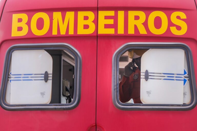 Três capivaras são encontradas mortas em via do DF