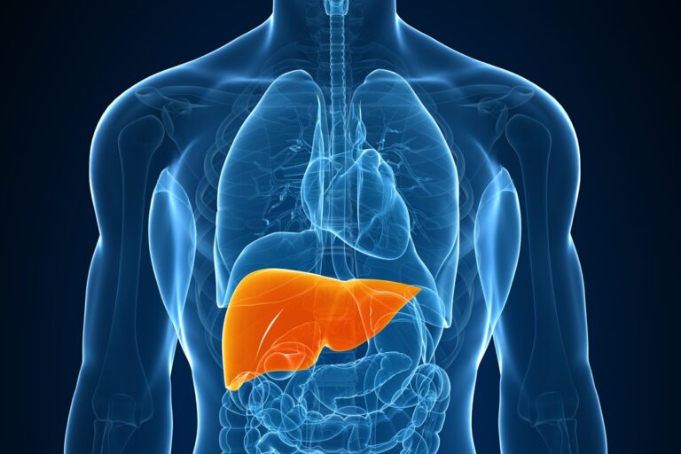 o que é a gordura no fígado e quais os riscos