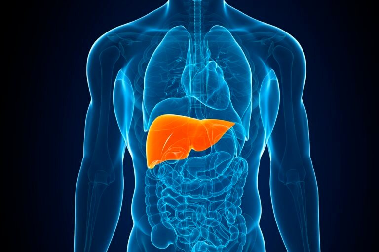 saiba o que pode desencadear a esteatose hepática