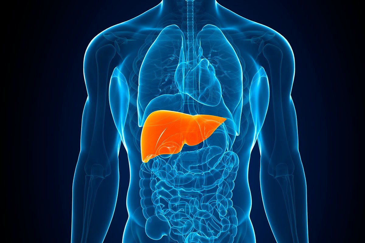 saiba o que pode desencadear a esteatose hepática