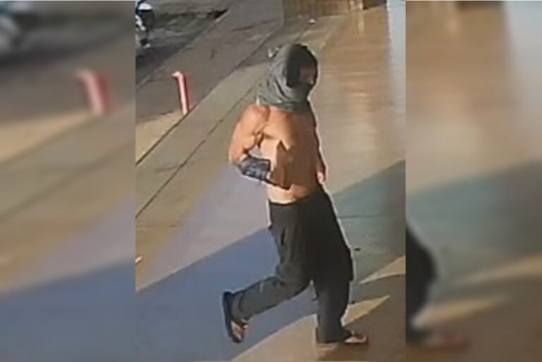 Ladrão que roubava itens de higiene em farmácias da Asa Norte é preso