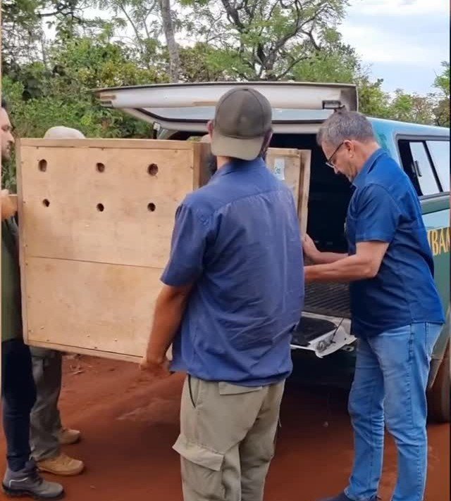 SaveClip.App_575714347_1406062134375835_7426800919133309145_n