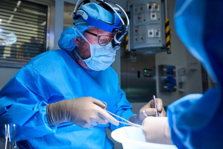 médicos acham meio para burlar rejeição a rim de porco