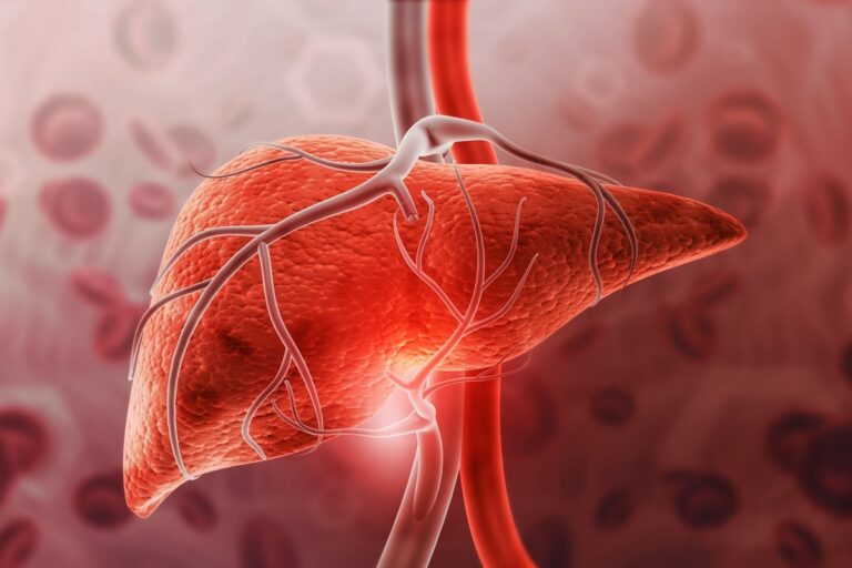veja qual é o limite da regeneração do órgão doente