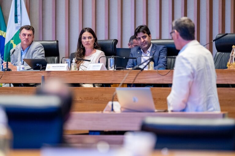 Câmara Legislativa analisa relatório final da CPI do Rio Melchior