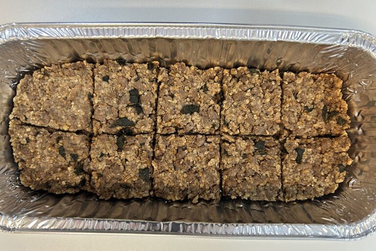 Estudo: farinha de castanha-do-pará é 60% mais proteica que a de trigo