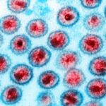 OMS parabeniza Brasil por fim da transmissão vertical do HIV